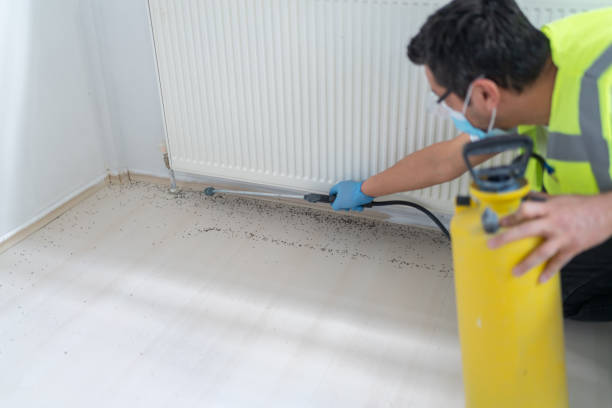 Best Emergency Pest Control  in Taneytown, MD