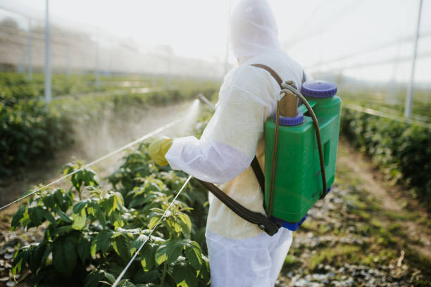 Best Mosquito Control Services  in Taneytown, MD